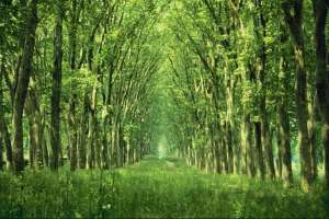 �������������� ��������