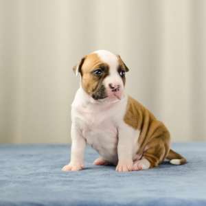 ���������.����� ��������.