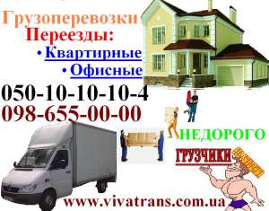 �������������� �������� ������ ���� ������� ��������� ������ �������� �������� �������� - ����������