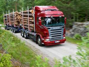 �������������� - �����������- �������� - ����������