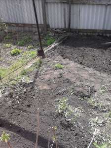 �������������� ����,�������,����������.������