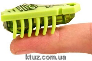 �����-���������� �� ����� ��� 2013 - ����������