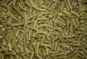 ��������������� ���� ��� ������� - ����������