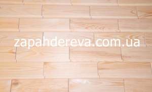 �������-�������� ��������