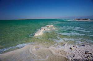 ��������������� ��������� �������� ���� - ����������