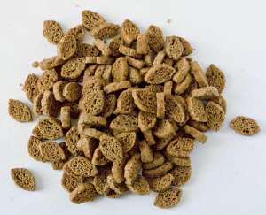 ���������������� ����� ���������