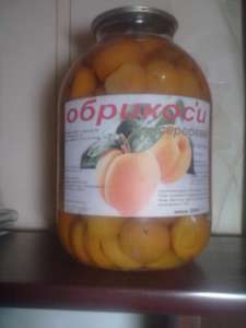 ���������������� �������