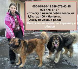 ���������������� ���������� �� ����� ����� � �������� - ����������