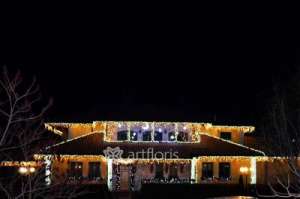 ���������������� ���������� ���������� ����� �������� - ����������