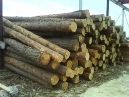 ����������,������� - ����������