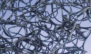 ����������������� ���� �� ����������� - ����������