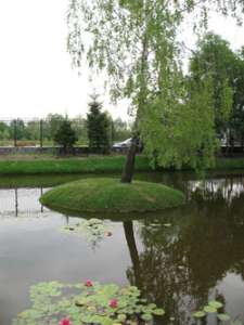 ����������������� ���� ������ ��������