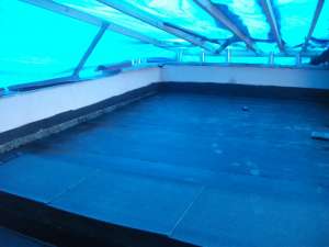 ����������������� ������