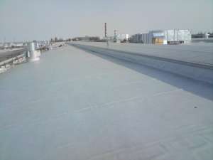 ����������������� ������