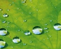 ����������������� �������� ��� ����������� ������ �������� �������