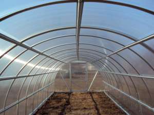 ������������������