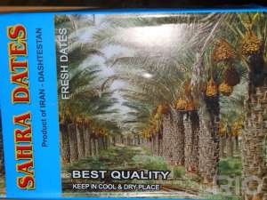 ��������,������,����