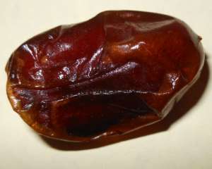 ��������,������,����