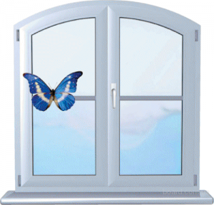 ������������������ ���� - ����������