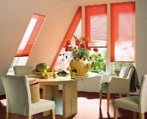 ������������������ ����, �������