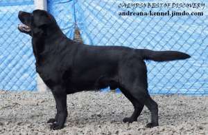 ������������������ ����� ��������� - ����������