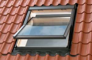 ������������������ ���������� ���� - ����������