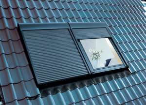 ������������������ ���������� ����