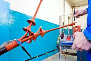 ������������������ �����������