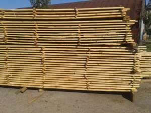 �������������,����� ���������,���-����