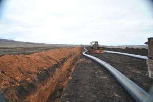 �������������������� ������ ������