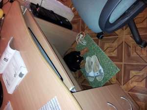 ���������-������������ ���