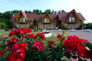 ����������-����������� �������� - ����������