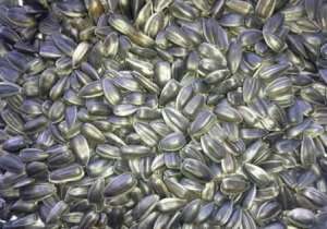 ��������,������������,������,�������.����������.